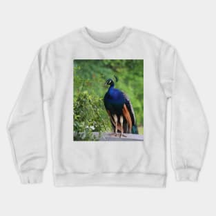 In Deep Thought Crewneck Sweatshirt